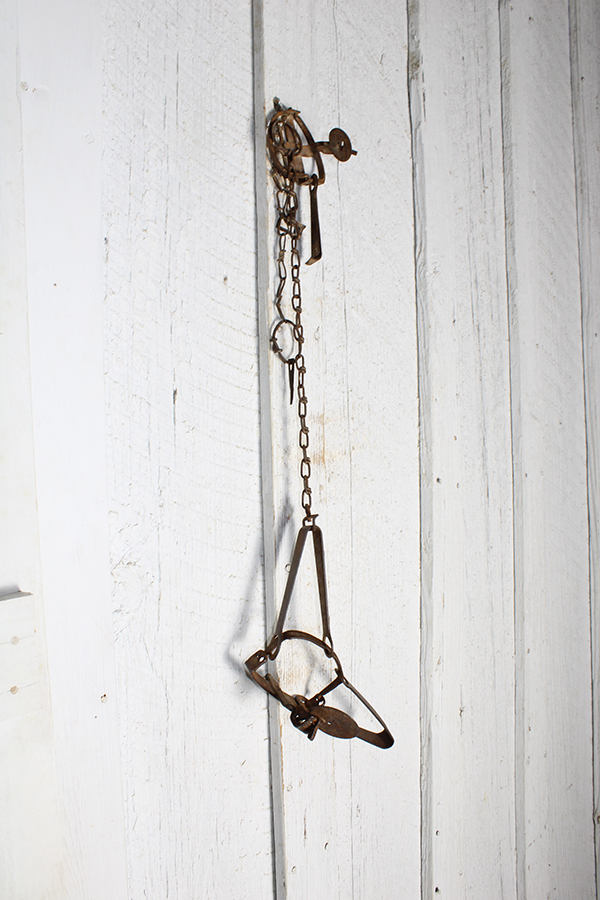 animal trap